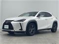 2019 Lexus UX