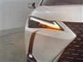 2019 Lexus UX