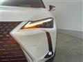 2019 Lexus UX