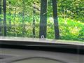 2023 Mazda Mazda2