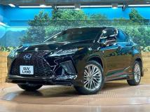 2019 Lexus RX