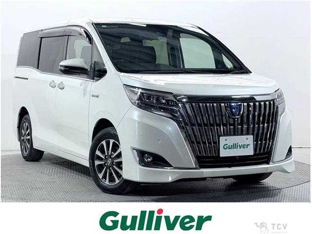 2019 Toyota Esquire