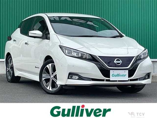 2018 Nissan Leaf