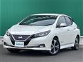 2018 Nissan Leaf