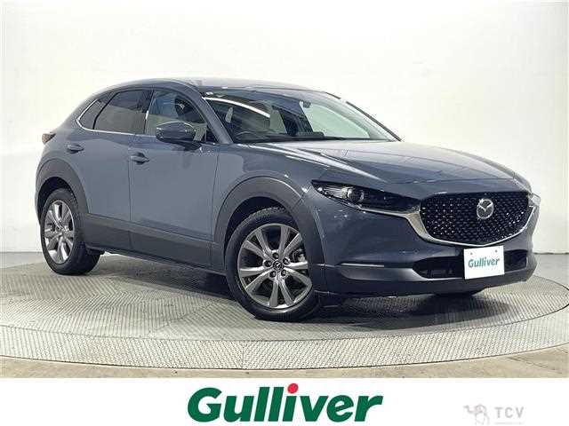2021 Mazda CX-3