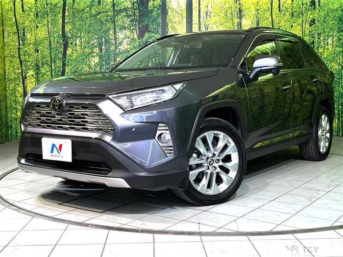 2019 Toyota RAV4