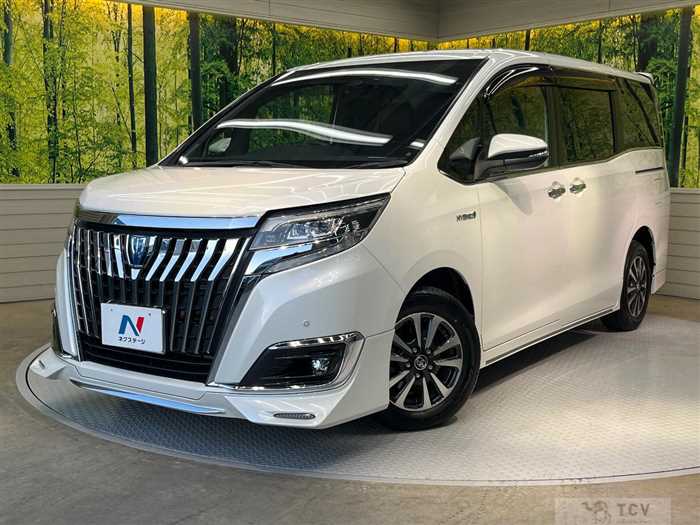 2018 Toyota Esquire