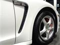 2010 Porsche Porsche Others
