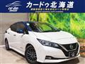 2018 Nissan Nissan Others