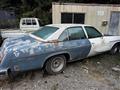1977 GM GM Others