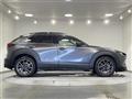 2021 Mazda CX-3