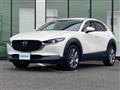 2019 Mazda CX-3