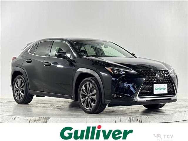 2021 Lexus UX