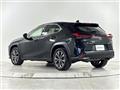 2021 Lexus UX