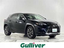 2021 Lexus UX