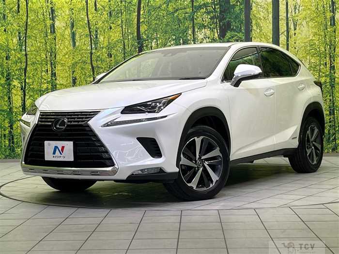 2018 Lexus NX