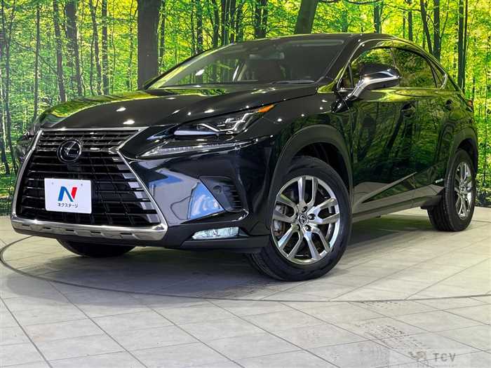 2019 Lexus NX