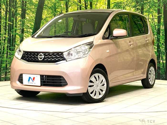 2013 Nissan DAYZ