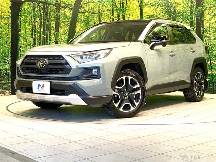 2019 Toyota RAV4