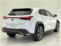 2019 Lexus UX