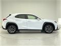 2019 Lexus UX