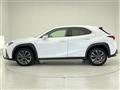 2019 Lexus UX