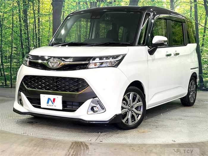 2019 Toyota Tank