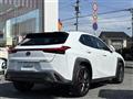 2019 Lexus UX