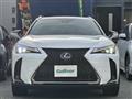 2019 Lexus UX