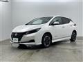 2022 Nissan Leaf