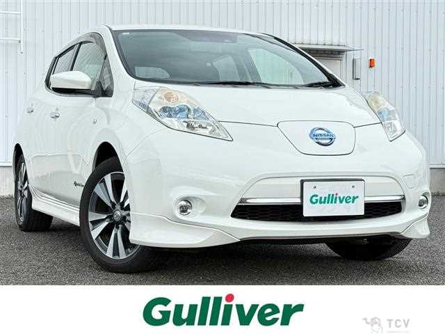 2016 Nissan Leaf