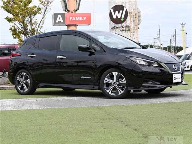 2019 Nissan Leaf