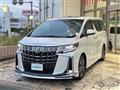 2020 Toyota Alphard