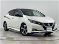 2018 Nissan Leaf