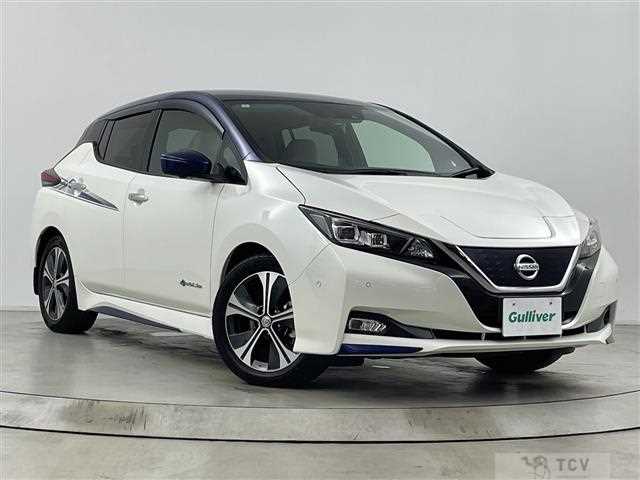 2018 Nissan Leaf