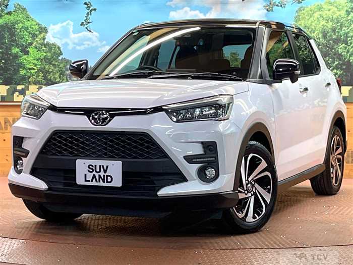 2019 Toyota Raize