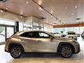 2019 Lexus UX