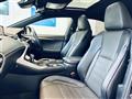 2019 Lexus NX