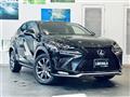 2019 Lexus NX