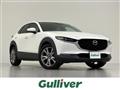 2019 Mazda CX-3
