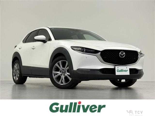 2019 Mazda CX-3