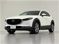 2019 Mazda CX-3