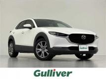 2019 Mazda CX-3