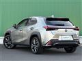 2020 Lexus UX