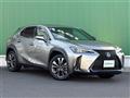 2020 Lexus UX