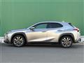 2020 Lexus UX