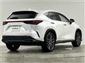 2023 Lexus NX