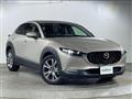 2021 Mazda CX-3