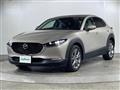 2021 Mazda CX-3