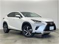 2019 Lexus NX